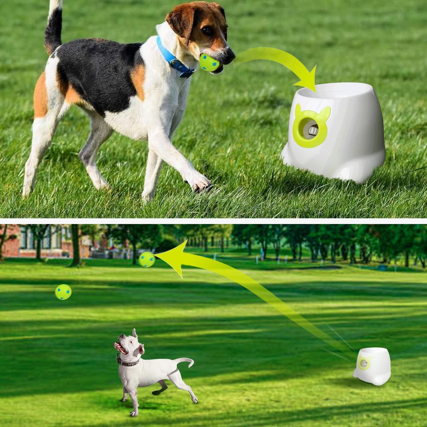 Interactive Automatic Ball Launcher for Dogs