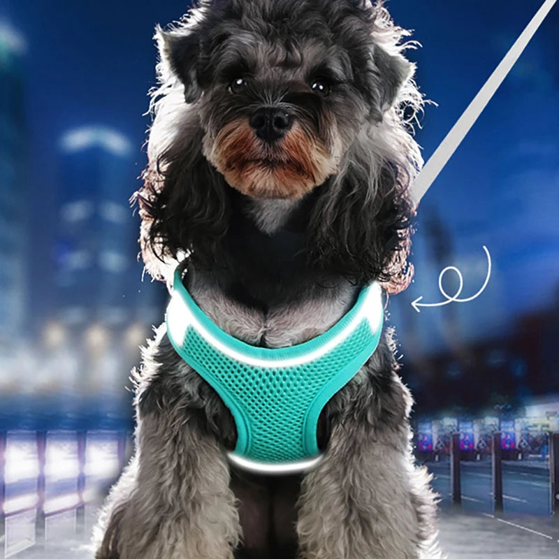 Reflective Harness Vest & Leash Set