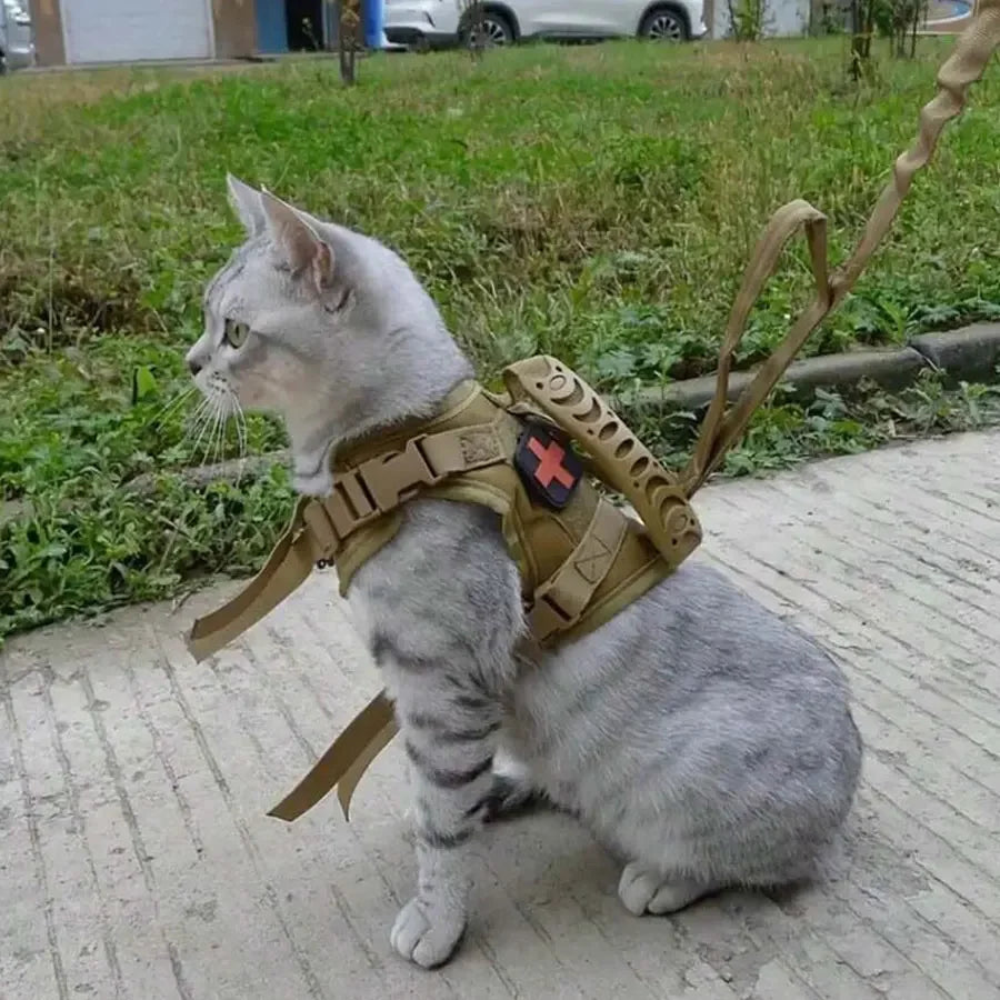 Cat Tactical Vest / Waterproof