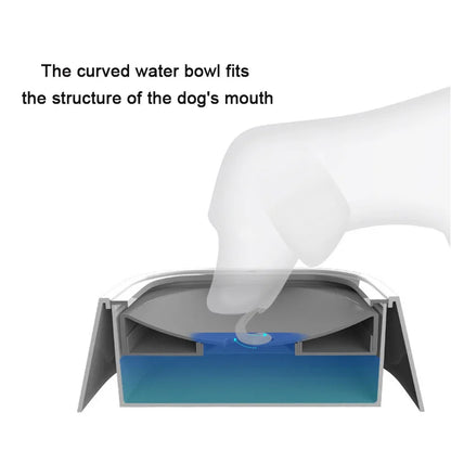 Dog Drinking Water Bowl / Floating Dispenser / No Spill