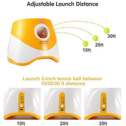 Interactive Automatic Ball Launcher for Dogs